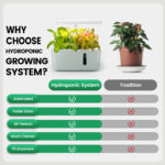 LetPot Mini 5-Pod Indoor Hydroponic Garden - Image 3