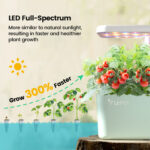 LetPot Mini 5-Pod Indoor Hydroponic Garden - Image 5