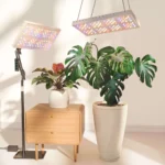 LetPot Smart Indoor Plant Grow Lights - Image 11