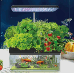 Aquaponic Growing System - Image 2