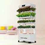 Hydroponic Grow Cabinets