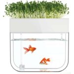 Aquaponic Growing System
