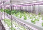 Container Farming - Image 3