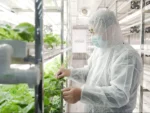 Container Farming - Image 2