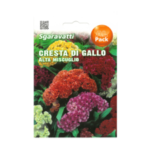 Cresta Di Gallo Alta Flower Seeds
