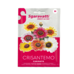 Crisantemo Carinato Flower Seeds