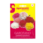 Garofano Chabaud Miscuglio Flower Seeds – قرنفل ملون