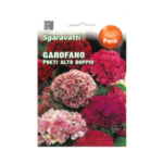 Garofano Poeti Alto Doppio Flower Seeds – قرنفل ملون