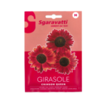 Girasole Crimson Queen Flower Seeds – بذر دوار الشمس احمر