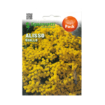 Alisso Giallo Yellow Flower Seeds