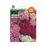 Iberis Miscuglio Flower Seeds