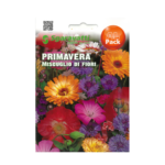 Primavera Miscuglio Di Fiori Flower Seeds – زهرة الربيع