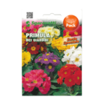 Primula Dei Giardini Flower Seeds
