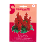 Salvia Spledente Flower Seeds