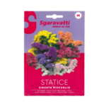 Statice Sinuata Miscuglio Flower Seeds
