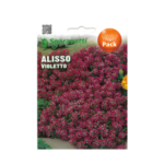 Alisso Violetto Purple Flower Seeds