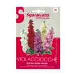 Violacciocche nizza Flower Seeds – منتور
