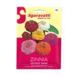 Zinnia Lilliput Nana Flower Seeds