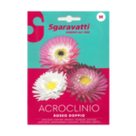 Acroclinio Roseo Doppio Flower Seeds