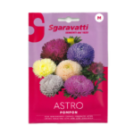 Astro Pompon Flower Seeds