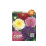 Astro Principessa Flower Seeds