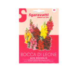 Bocca Di Leone Alta Snapdragon Flower Seeds – تم السمكة