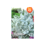 Cineraria Marittima Flower Seeds
