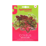 Coleus Arcobaleno Seeds – سجاد