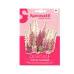 Digitale Fox Glove Flower Seeds