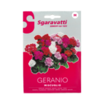 Geranio Miscuglio Flower Seeds