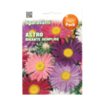Astro Gigante Semplice Flower Seeds