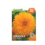 Girasole Nano doppio Flower Seeds
