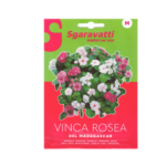 Vinca Rosea Flower Seeds