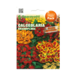 Calceolaria Grandiflora Flower Seeds – بذور زهرة شبشب