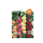 Alcea Malvone Doppio Flower Seeds