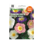 Convolvolo Bella Di Giorno Flower Seeds – كونفولفولو