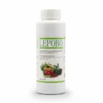 Lepobo