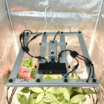 Growing tents - Image 3