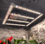 Growing tents - Image 2