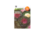 Lettuce Colored Ornamental Seeds – خس ملون