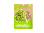 Coriander Seeds Italian – بذر كزبرة ايطالي