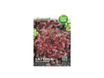 Lettuce Red Salad Bowl Seeds – خس احمر