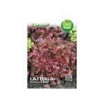 Lettuce Red Salad Bowl Seeds – خس احمر