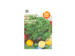 Lemon Balm Seeds – بلسم الليمون