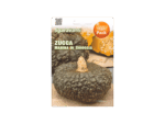 Pumpkin Marina Seeds – يقطين