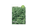 Salvia Seeds – مريمية