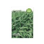 Salvia Seeds – مريمية