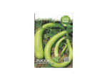 Squash Seeds – قرع