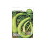 Squash Seeds – قرع