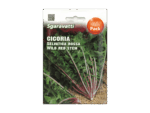Cicoria Wild Red Seeds